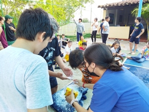 IMG_20220325_143151 (FILEminimizer)